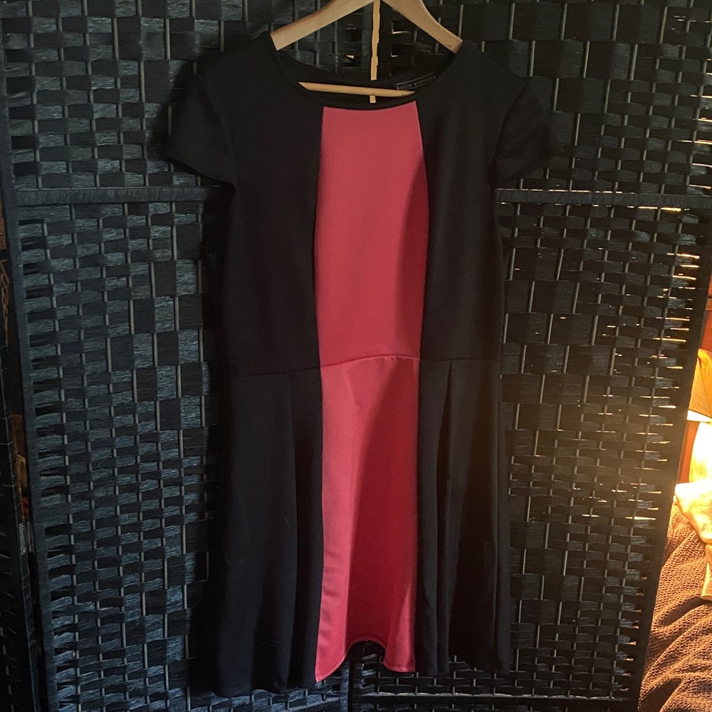 Karin Stevens Black and Pink Midi Dress
